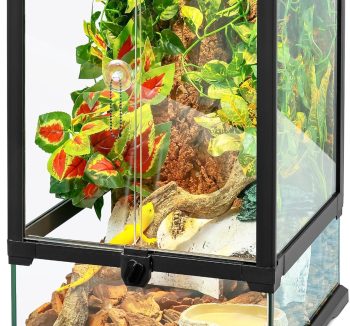 gecko terrarium tank