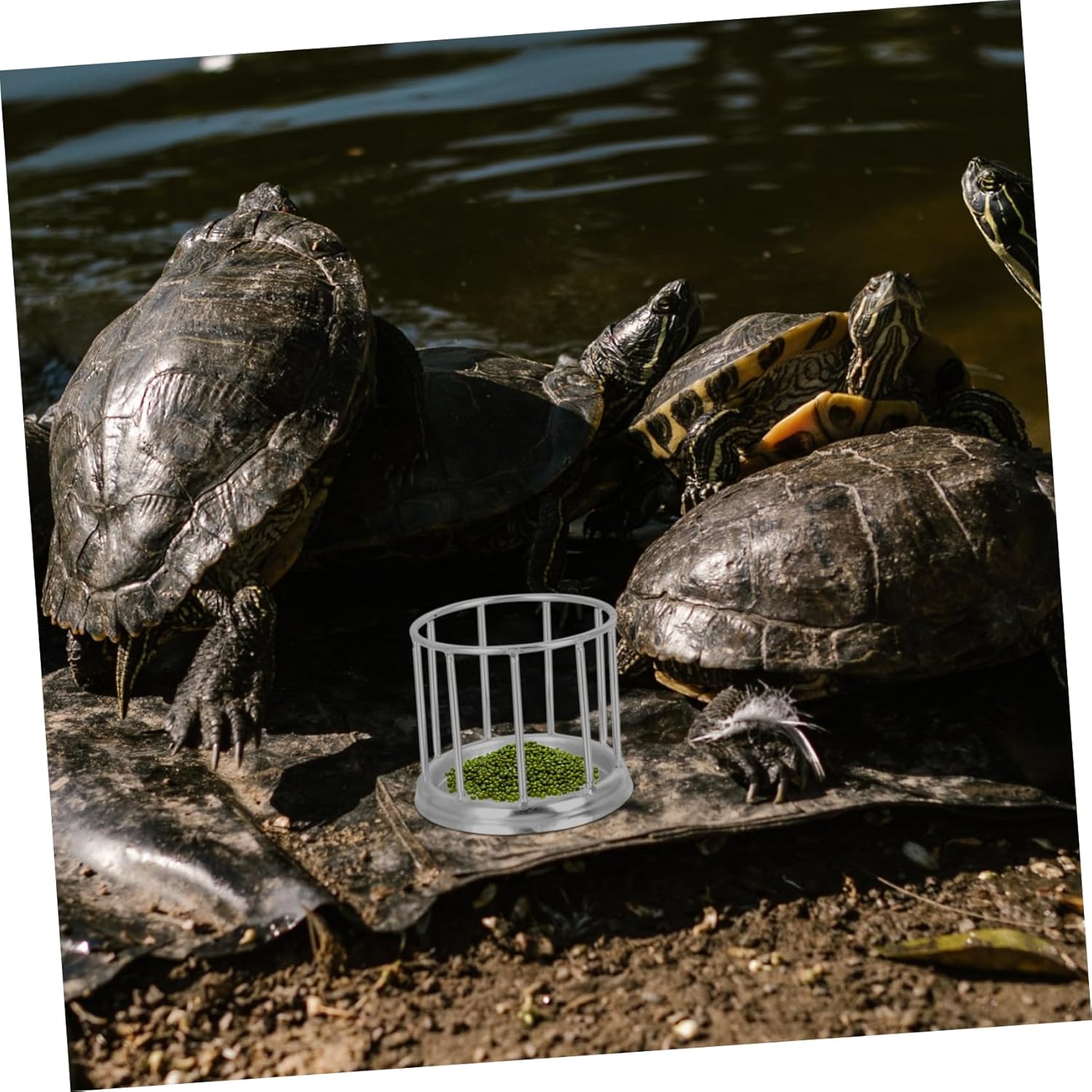 UPKOCH Material Use Compact Design Tortoise Food Pellets Reptile Amphibian Food - Happypetzone.online - Image 6