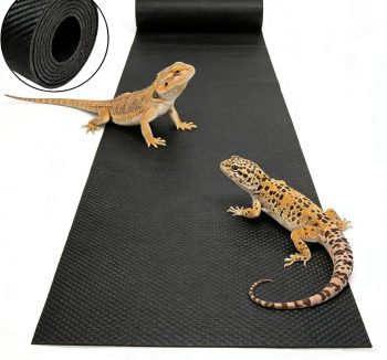 reptile bedding easy clean