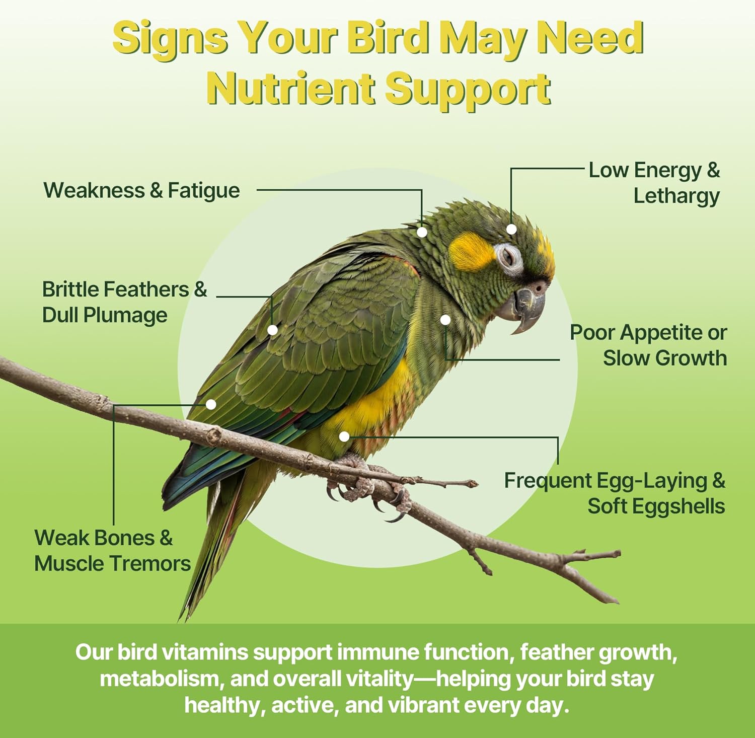 Bird Vitamins for All Cage Birds - Multi-Vitamin for Birds - Supports Bones, Feathers, Energy & Eggshell Quality - Vet-Developed Formula, Dissolves in Water for Easy Daily Use - Net Wt 6.35 oz - Happypetzone.online - Image 3