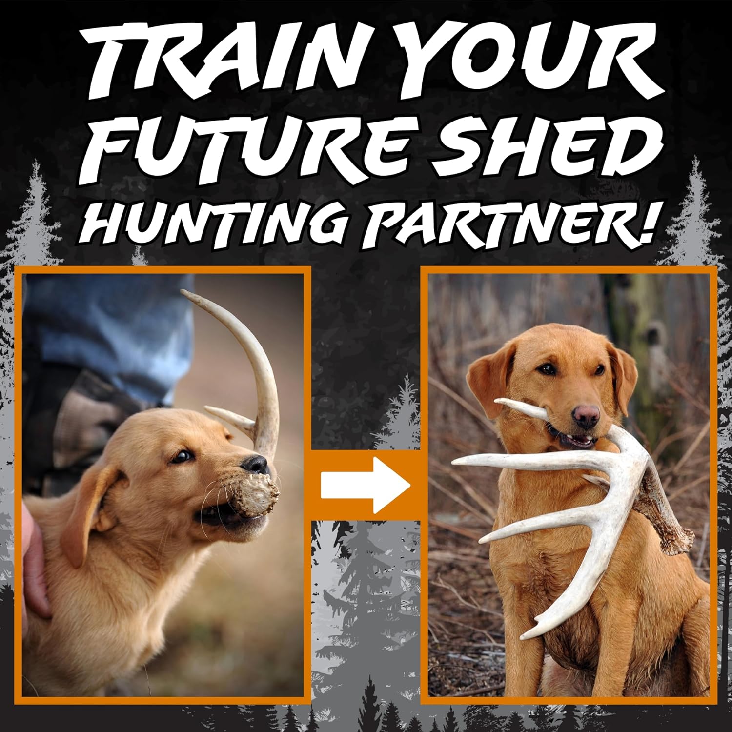 DogBone Shed Hunting Dog Training Kit – Train Your Puppy to Find Deer Antlers - Includes 2 oz Scent for Nosework & Flexible Floating Dummy for Retrieving - Perfect for Whitetail Hunters - Happypetzone.online - Image 4