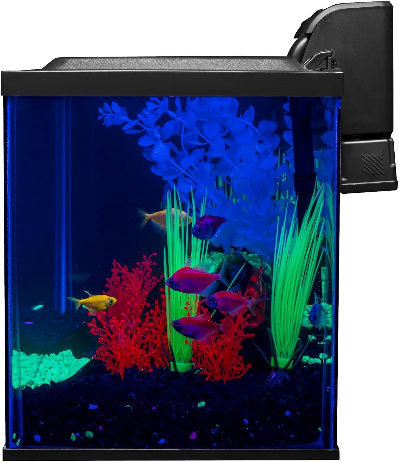 Glofish 10 Gallon Aquarium Fish Tank Kits, Includes LED Lighting and Décor (Amazon Exclusive) - Happypetzone.online - Image 2