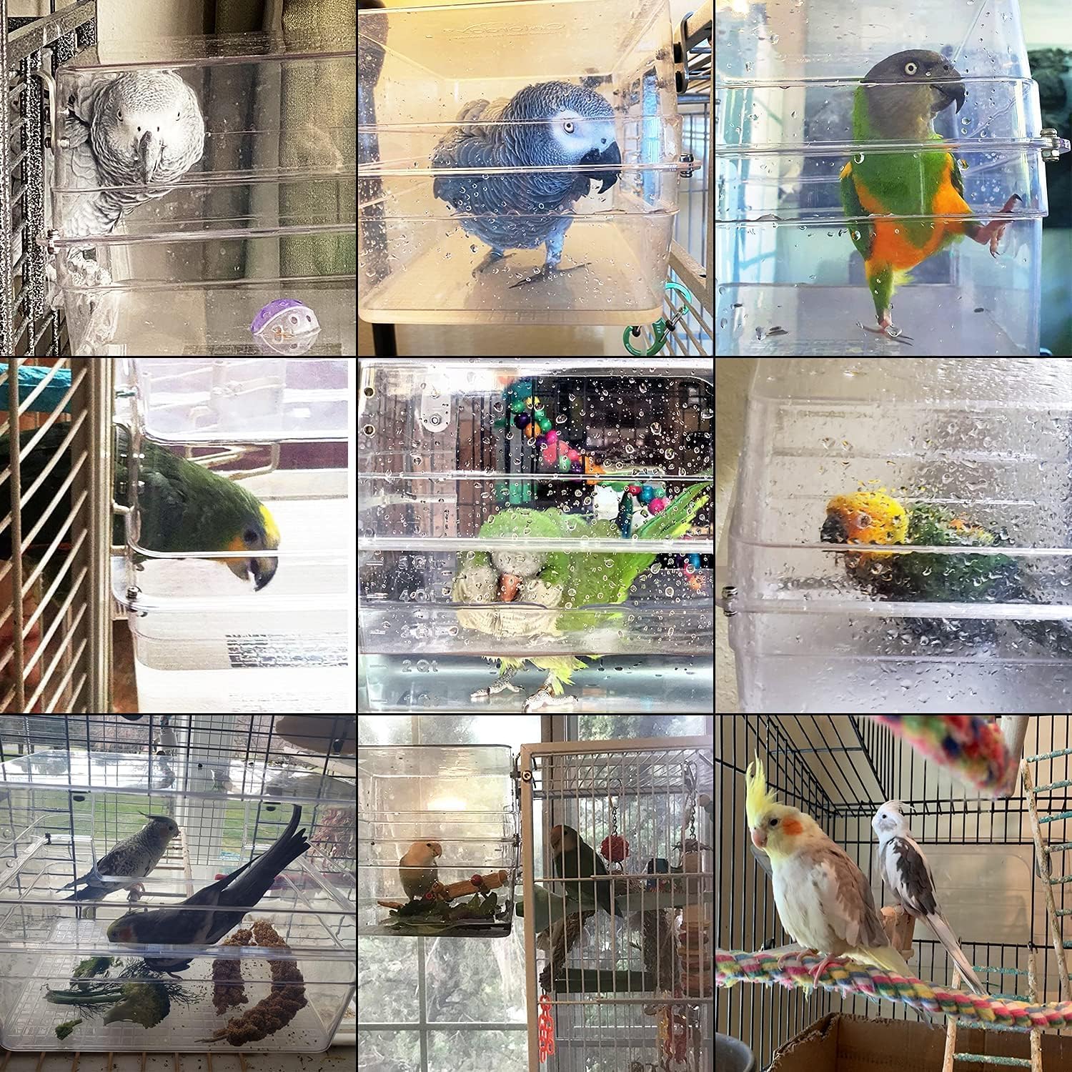 Colorday Large Bird Bath for Cage, Parrot Bath for Parakeet, African Grey, Amazon, Conure, Cockatiel(13X11X8 inch) - Happypetzone.online - Image 5