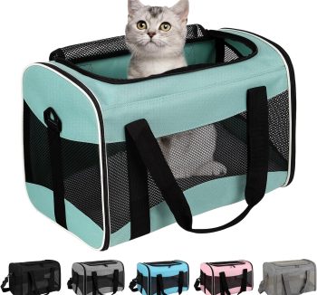 dog carrier soft sided