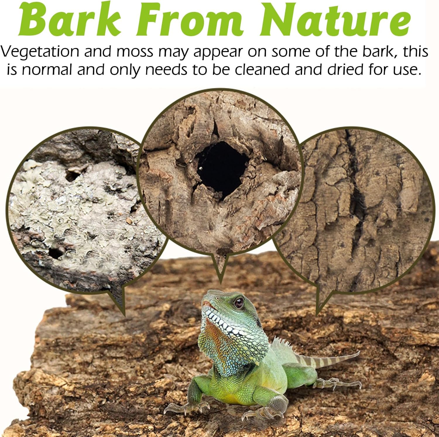 Reptile Cork Bark Bulk 1 Lb Reptile Bark Bedding Natural Flat Cork Wood Pieces Terrarium Substrate Tank Supplies for Bearded Dragon Snake Spiders Hermit Crabs Geckos Tortoise - Happypetzone.online - Image 4