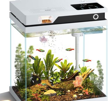 fish tank starter kit