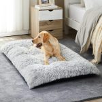 cheap dog beds large