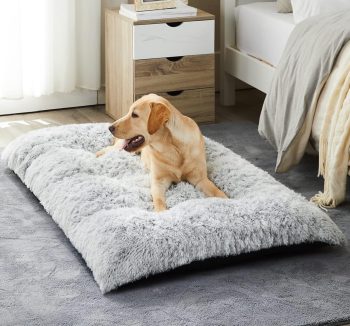 cheap dog beds large
