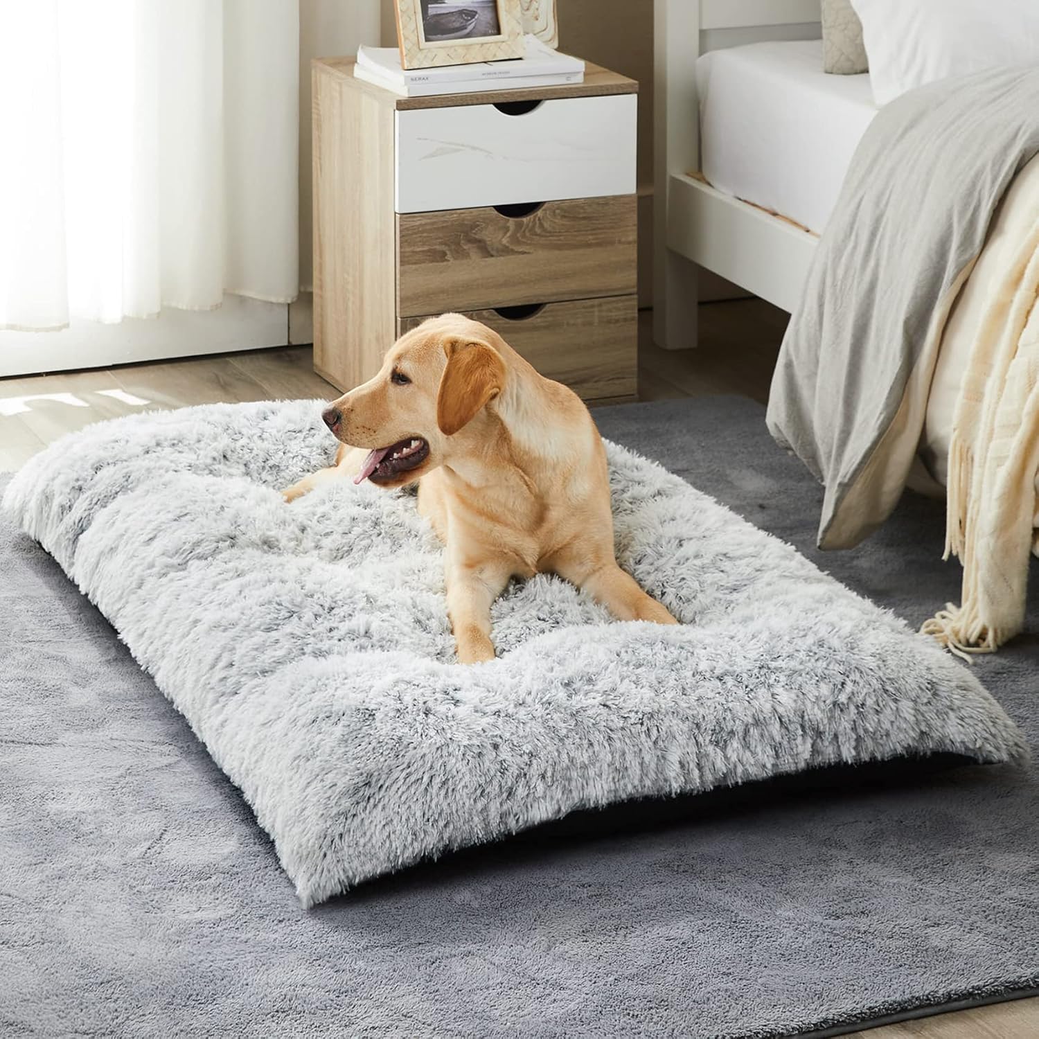 cheap dog beds large