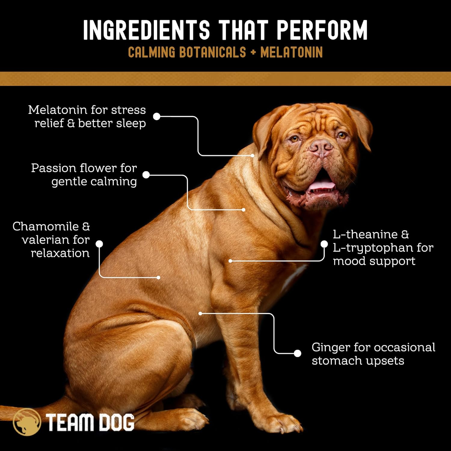 TEAM DOG Calming Chews - Anxiety Relief Treats | Natural Calming Bites with Melatonin, Chamomile, Valerian & Passion Flower | 120 Soft Chews for Large & Small Dogs | Delicious Peanut Butter Flavor - Happypetzone.online - Image 4