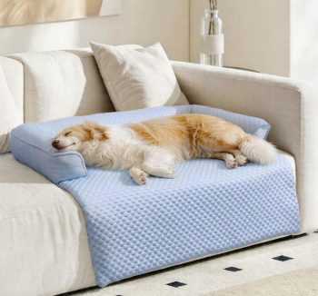 cooling dog bed summer