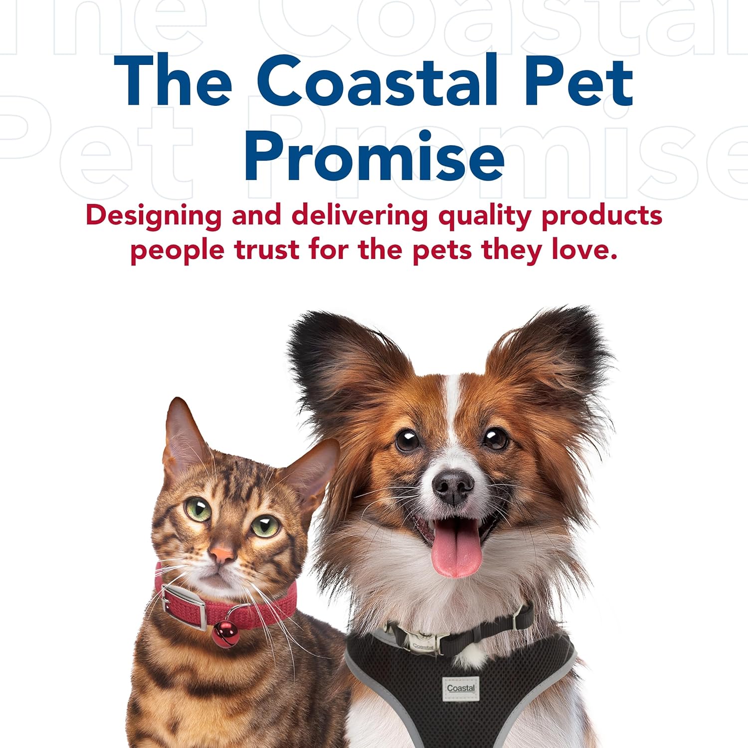 Coastal Pet Safari - Cat Self-Cleaning Slicker Brush - Cat Grooming Supplies - Happypetzone.online - Image 7