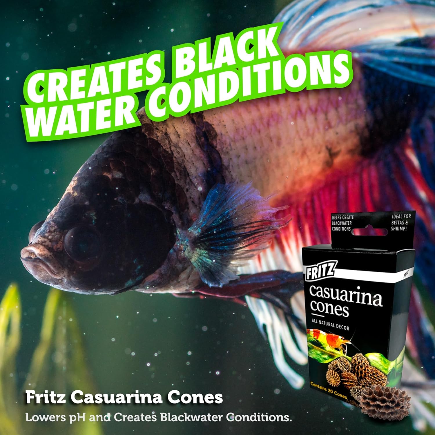 Fritz Aquatics Betta Botanicals for Betta and Community Fish Aquariums (Casuarina Cones - 20ct) - Happypetzone.online - Image 5