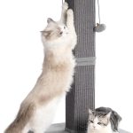 cat scratch post durable