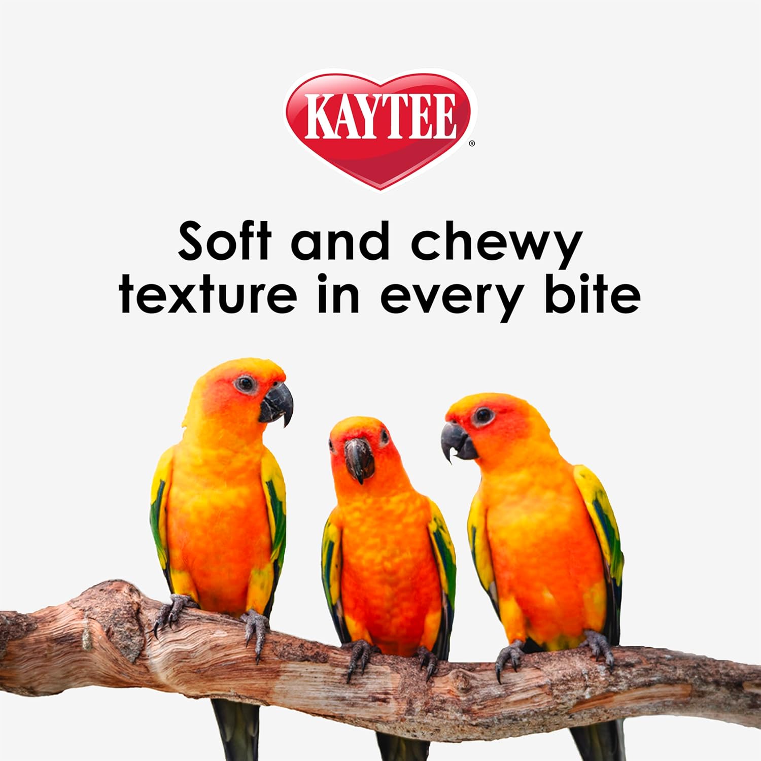 Kaytee Nutri Soft Pet Parrot & Conure Bird Food, 3 Pound - Happypetzone.online - Image 8