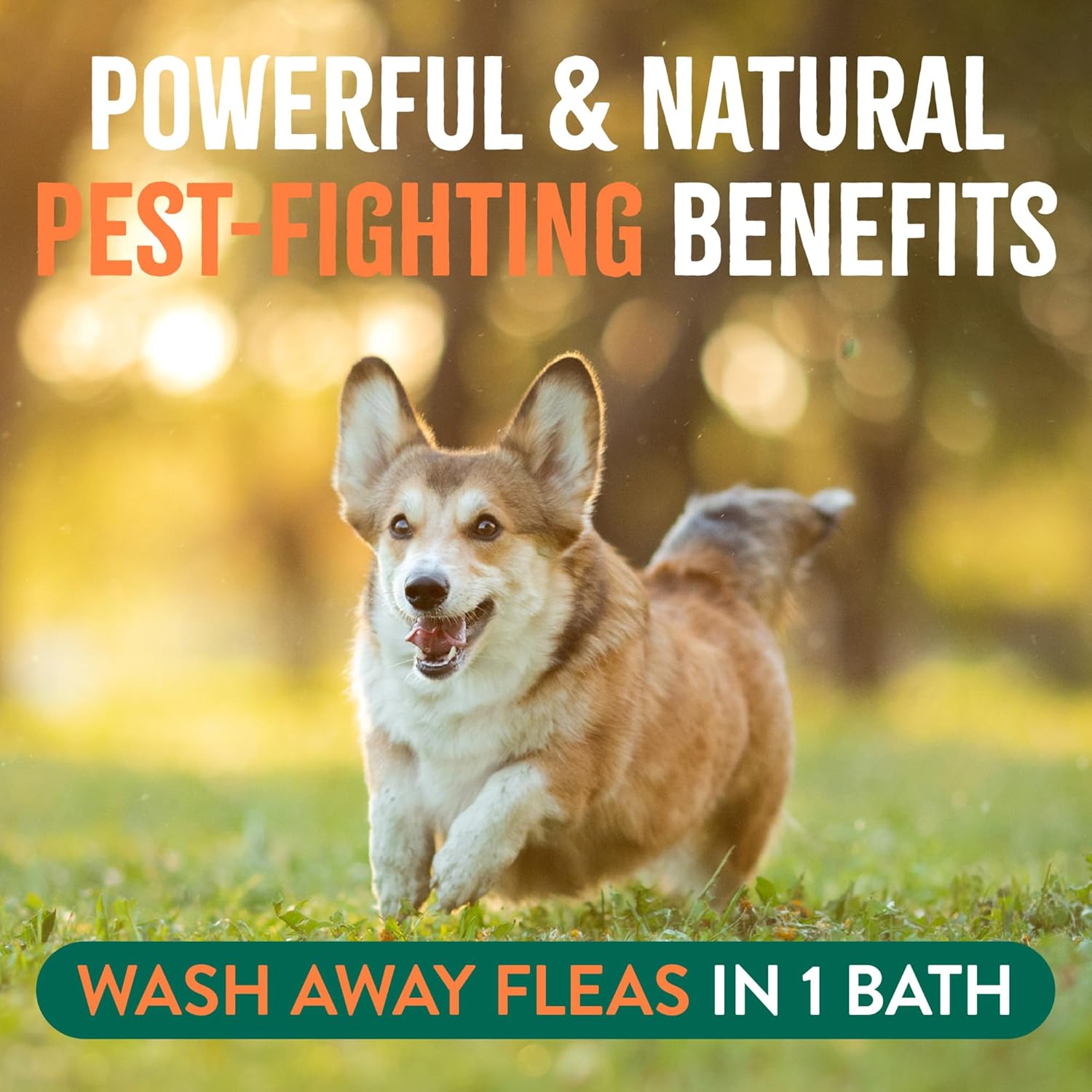 TropiClean Soothing Flea and Tick Shampoo for Dogs, Powerful & Natural Defense, for Large & Small Dogs, Made in USA, 20oz - Happypetzone.online - Image 4