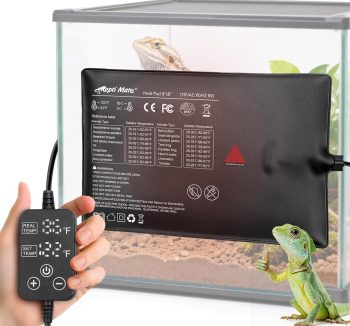 reptile heat source safe