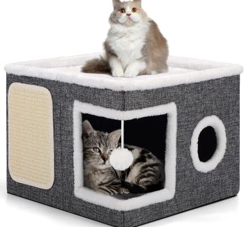 cat bed indoor