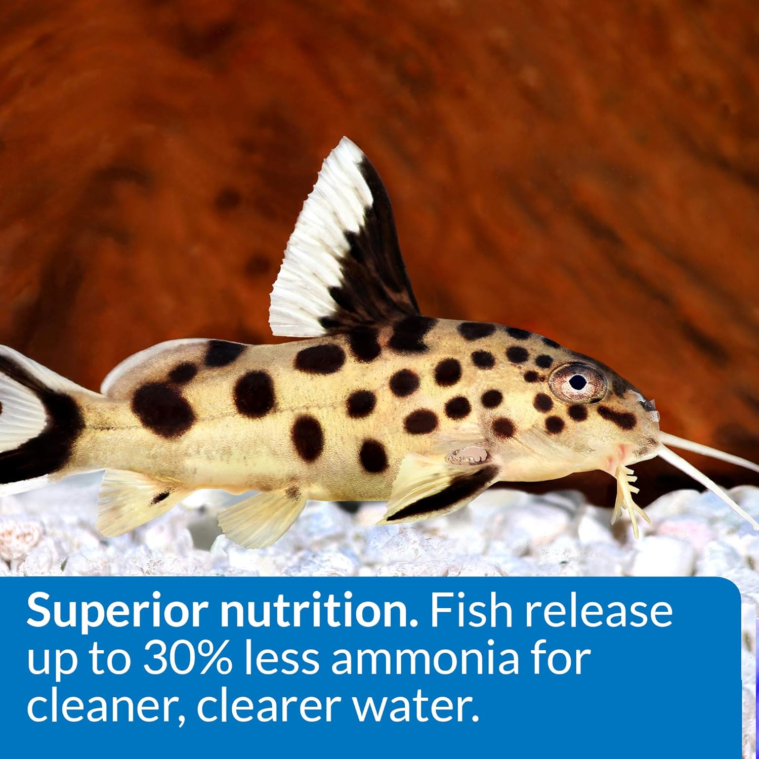API BOTTOM FEEDER PELLETS WITH SQUID Fish Food 1.3-Ounce Container - Happypetzone.online - Image 3