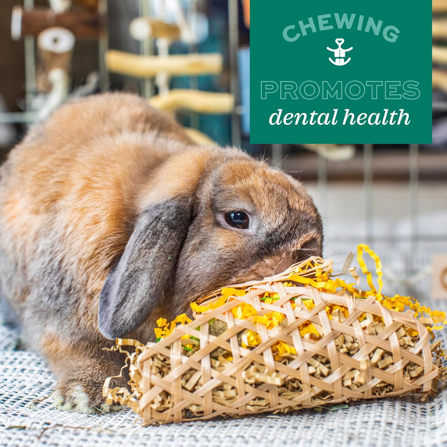 Oxbow Enriched Life Ox Blocks, Natural Wood Chew Toy for Rabbits, Guinea Pigs, and Hamsters, Promotes Dental Health and Foraging, Safe Enrichment Accessory, Small Pet Chew Toy - Happypetzone.online - Image 7