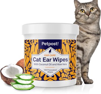cat ear cleaner