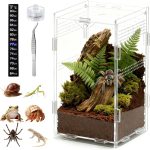 reptile tank for beginners