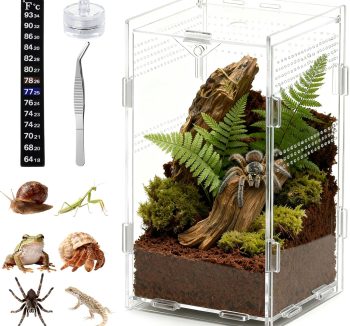 reptile tank for beginners