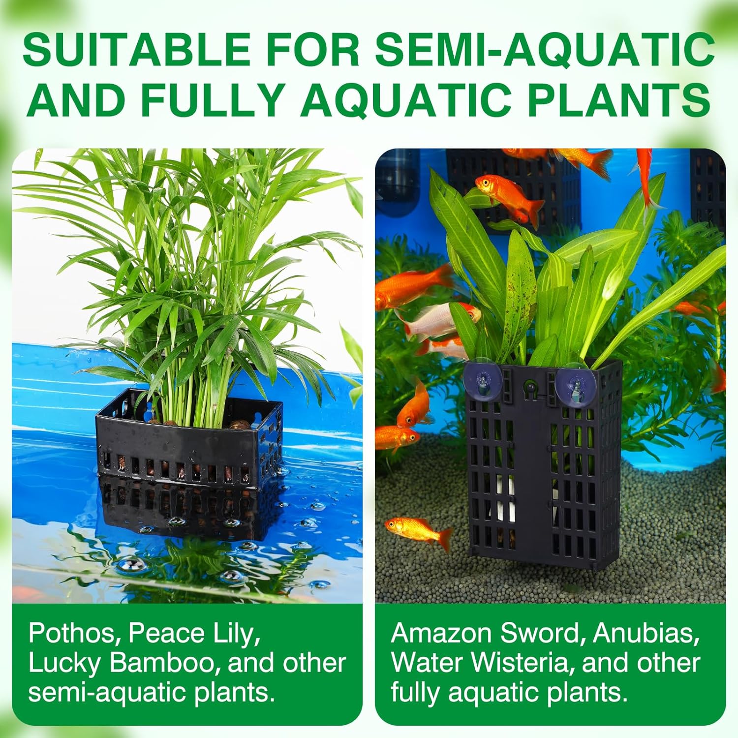2026 Latest Upgraded Aquarium Plant Holder Adjustable Height with Extendable Hook and Suction Cup for Fish Tank Aquaponic Plant Cultivation and Aquascape Accessories Decorations (4 Pack) - Happypetzone.online - Image 8