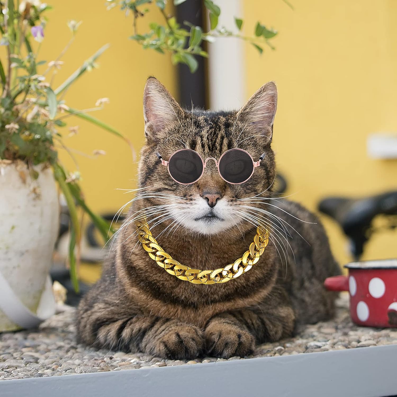 Molain Cat Sunglasses Gold Chain Costume Decorations- Cat UV Protection Classic Retro Puppy Retro Black Sunglasses Faux Gold Adjustable Chain Cosplay Costume Cool Funny Photo Props - Happypetzone.online - Image 3