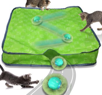 cat toys for exercise