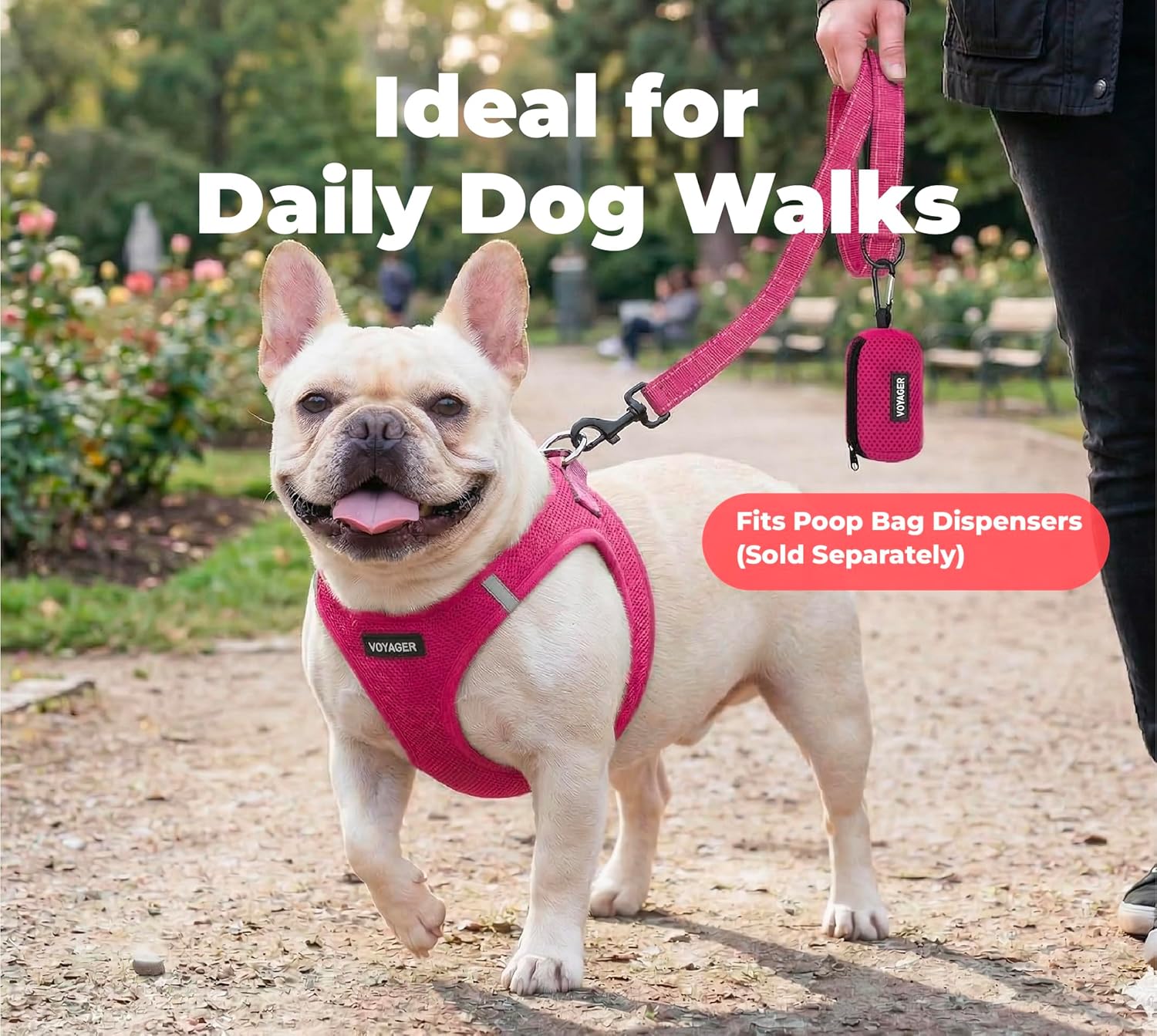 Best Pet Supplies Voyager Reflective Dog Leash or Collar with Neoprene Handle, for Small, Medium, and Large Breed Puppies, Cute and Heavy Duty for Walking, Running and Training - Fuchsia (Leash), S - Happypetzone.online - Image 3