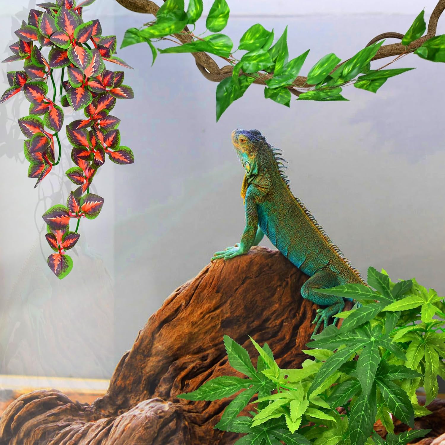 KATUMO Reptile Plants, 3 PCS Amphibian Hanging Plants with Suction Cup for Snake, Bearded Dragons, Lizards, Geckos, Toads, Hermit Crab Tank Pets Habitat Decorations - Happypetzone.online - Image 4
