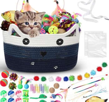 cat toy set bundle