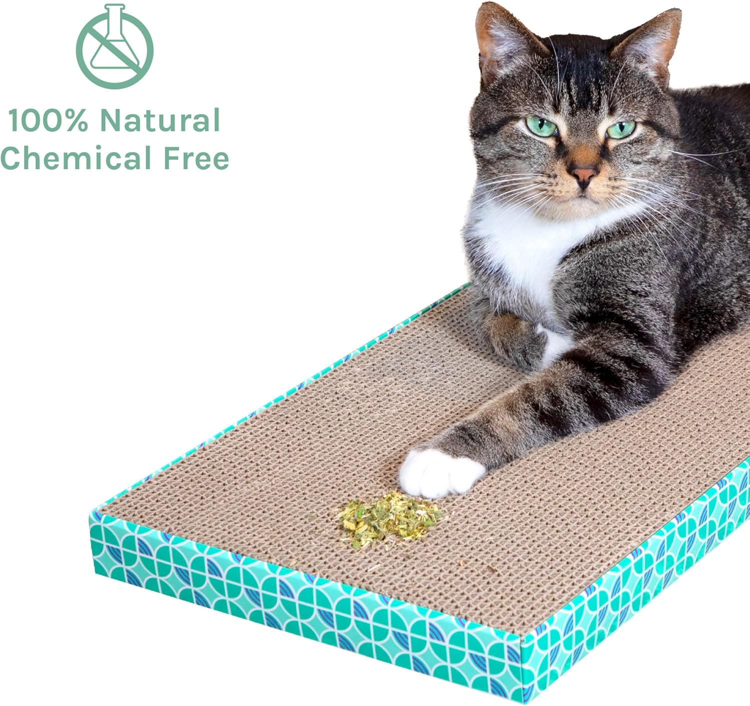 Kitty City Cat Premium Natural Catnip Collection, Catnip Bag 3-Pack - Happypetzone.online - Image 6