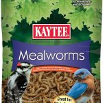 best bird food