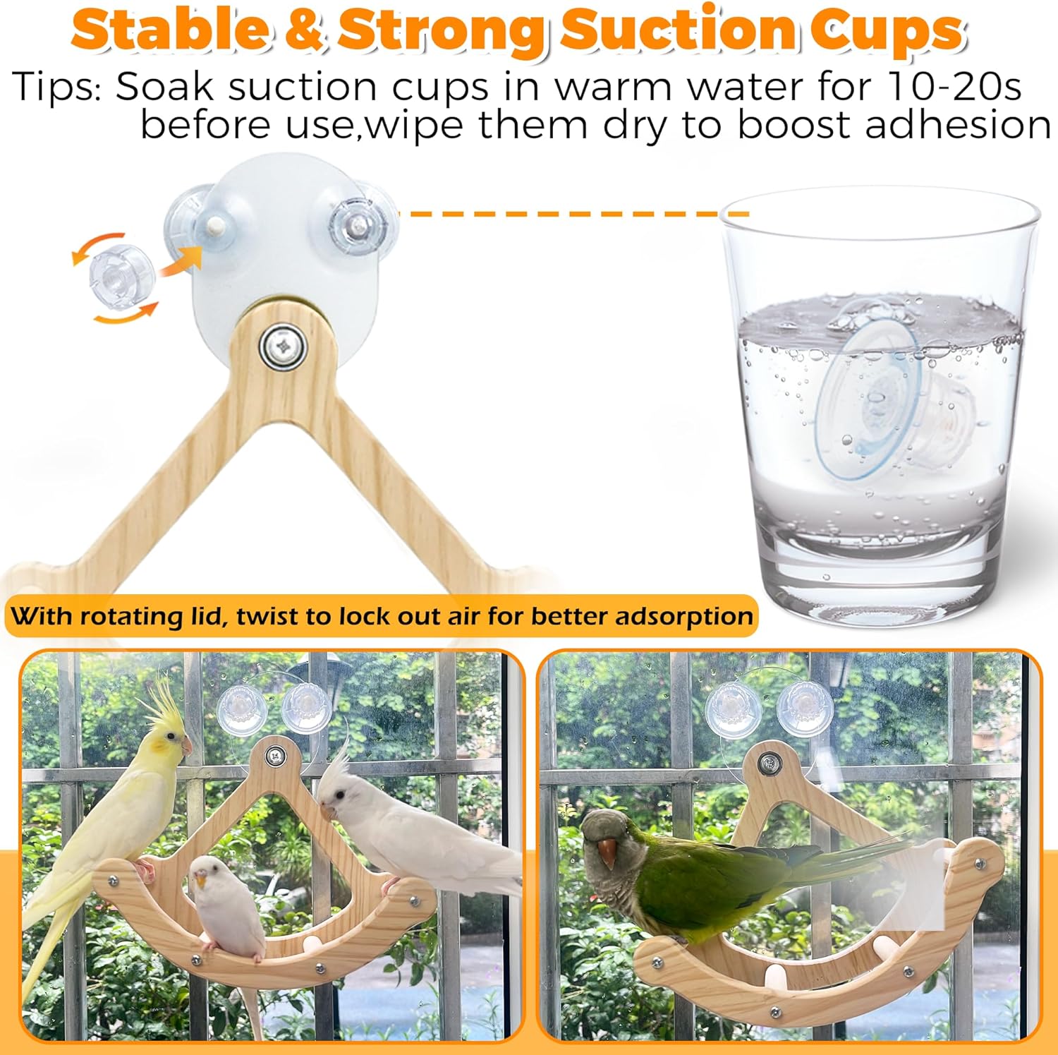 Rocking Bird Toys Perch for Window and Cage, Bird Perch for Wall Suction Mount, Wooden Parrot Toys for Medium Birds, Enrichment Cockatiel Toy Fun and Accessoriess for Budgie, Lovebird, Conure - Happypetzone.online - Image 4