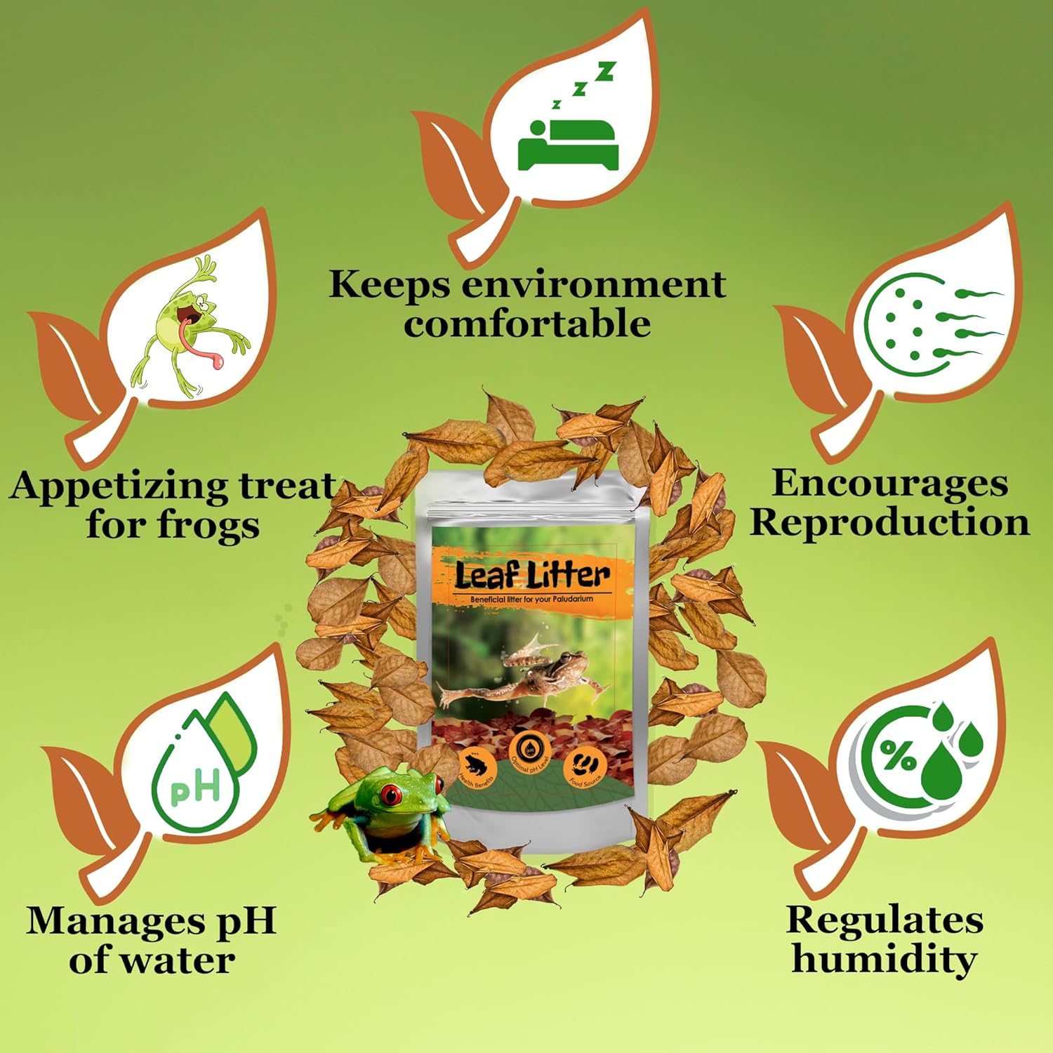 JOR 120 Pack Dwarf Frog Leaf Litter, Mini Indian Almond Leaves as Microfauna Habitat Tank Food Source, Substrate in Bioactive Terrarium & Vivarium Enclosure, Helps Tank Mimics Native Habitat - Happypetzone.online - Image 3