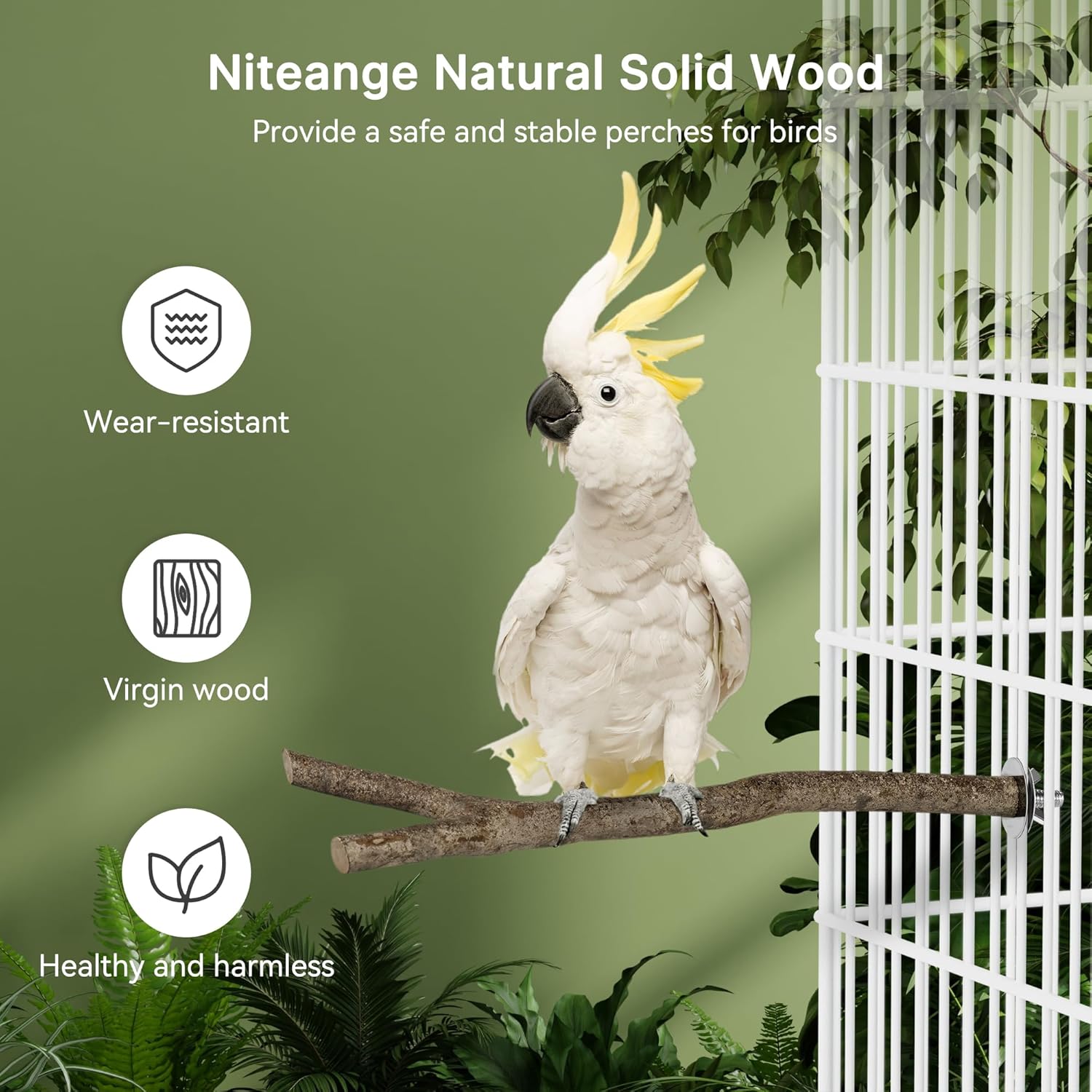 Niteangel Natural Wooden Perches for Bird Cages - Ideal for Cockatiels, Parakeets, Finches & Other Caged Birds (Natural Bark, 2 Pack) - Happypetzone.online - Image 4