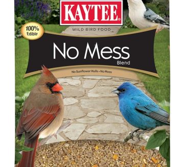 best bird food