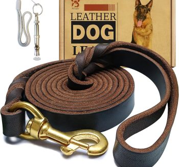 dog leash for large dogs