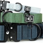 dog collar nylon strong