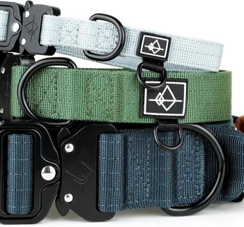 dog collar nylon strong
