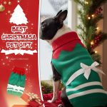 dog christmas outfit