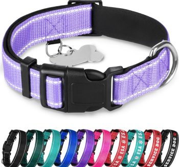 cat collar nylon durable