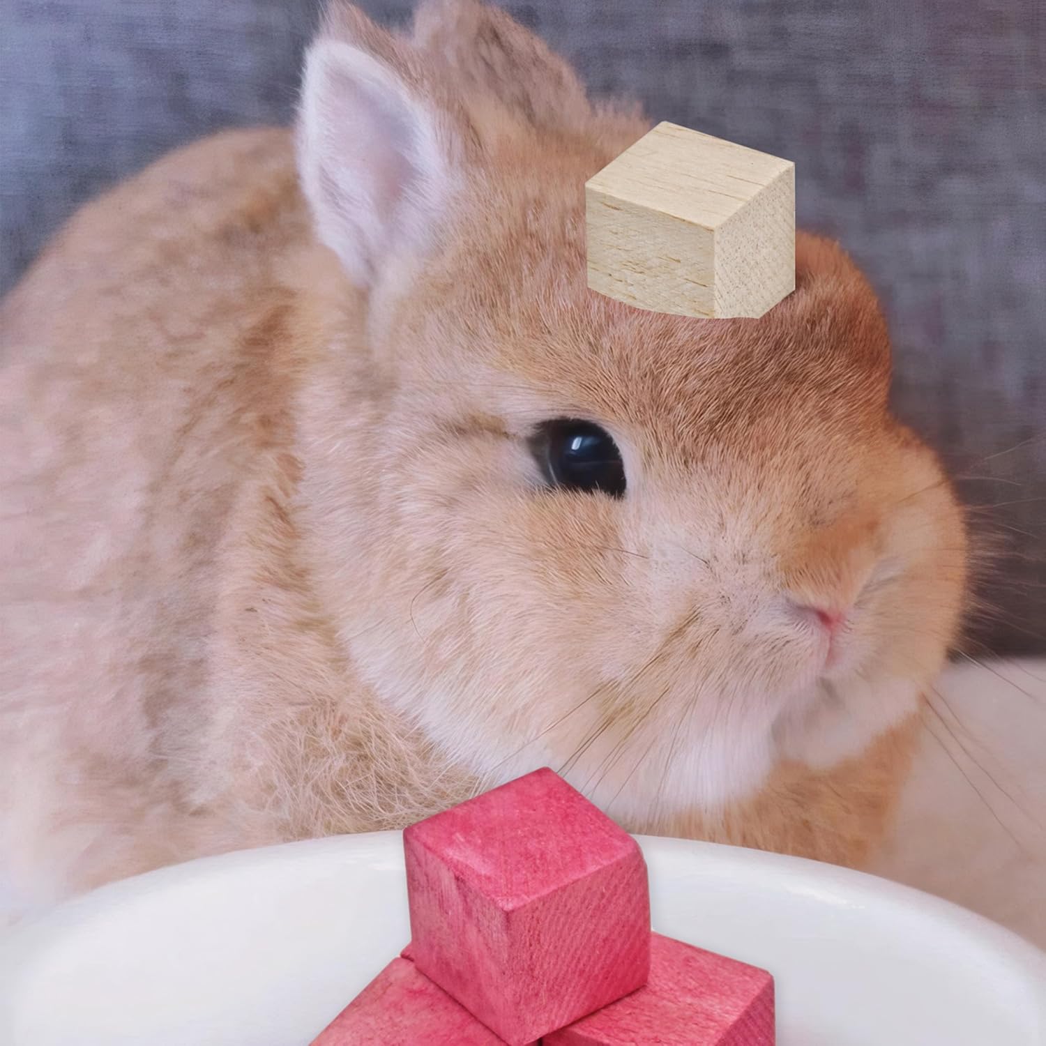 Fruit-Infused Balsa Wood Chew Toys, 16PCS Strawberry Orange and Pitaya Molar Blocks for Rabbits, Guinea Pigs and Chinchillas, 1.6 Inch Large Natural Small Animal Teeth Grinding Treats - Happypetzone.online - Image 6