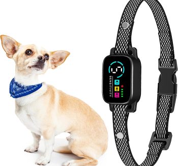 anti bark collar humane