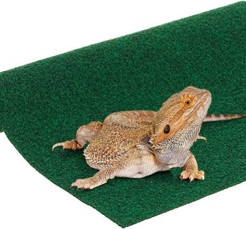 reptile bedding soft safe