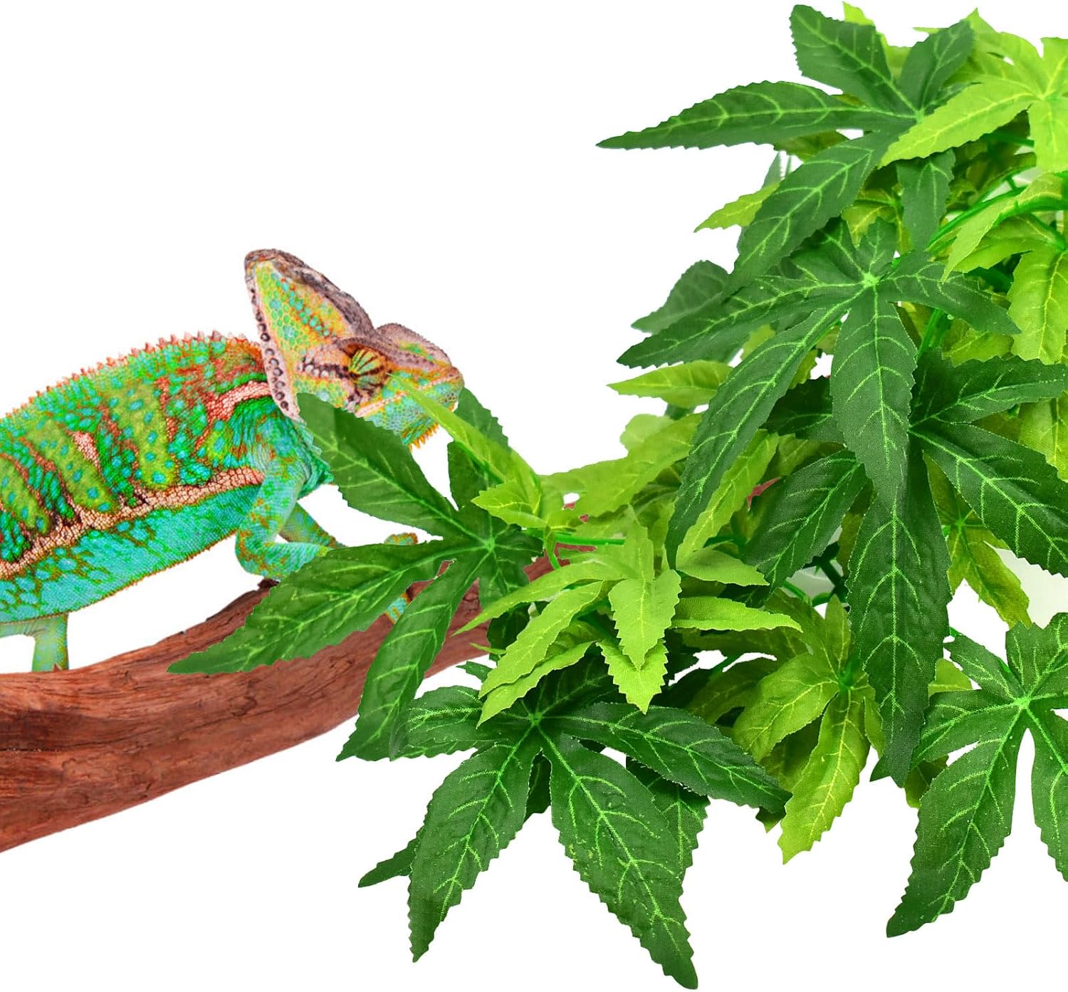 KATUMO Reptile Plants, 3 PCS Amphibian Hanging Plants with Suction Cup for Snake, Bearded Dragons, Lizards, Geckos, Toads, Hermit Crab Tank Pets Habitat Decorations - Happypetzone.online - Image 7