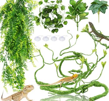reptile habitat accessories