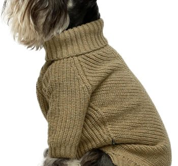 dog clothes winter